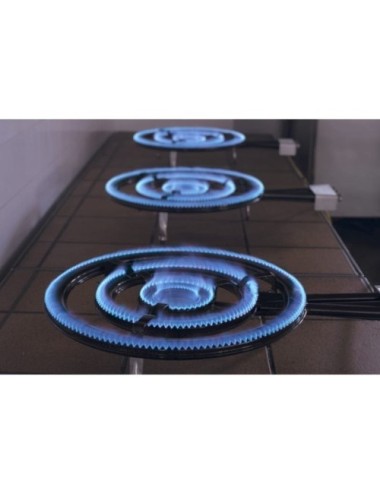 Paellero Flames VLC T-600/ 3 Quemadores/ Diámetro 60cm