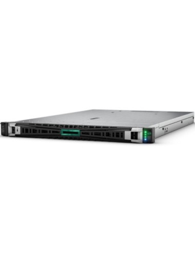 Servidor HPE ProLiant DL325 Gen11 AMD EPYC 9115/ 64GB Ram/ 2x 480GB SSD