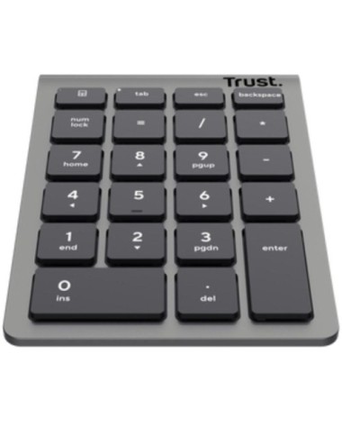 Teclado Numérico Inalámbrico Trust Xalas Wireless/ Plata